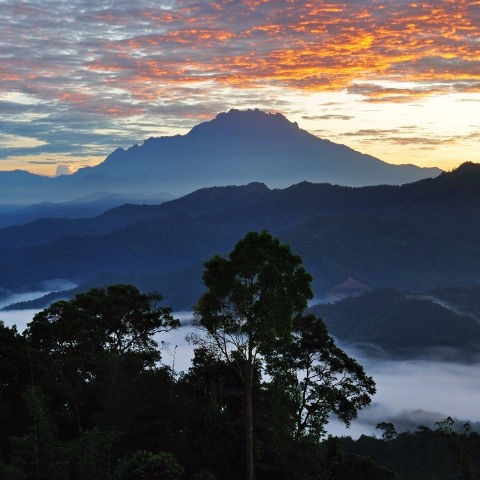 Mt Kinabalu