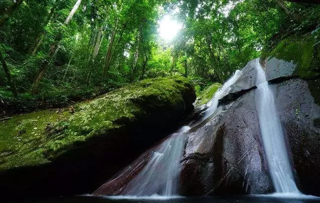 DAY 10: Kinabalu Park