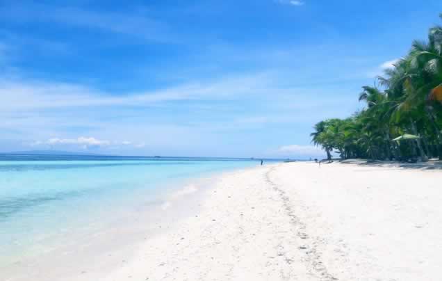 DAY 11: Fly to Bohol