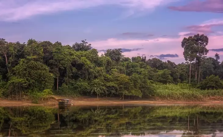 Kinabatangan River cruise