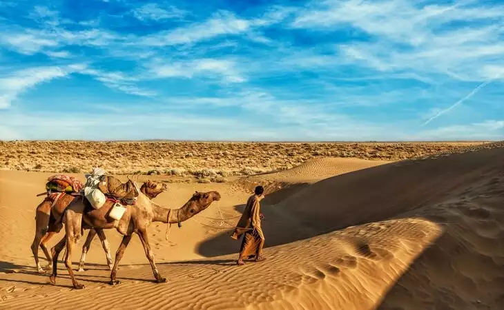 Thar Desert Camel Tour