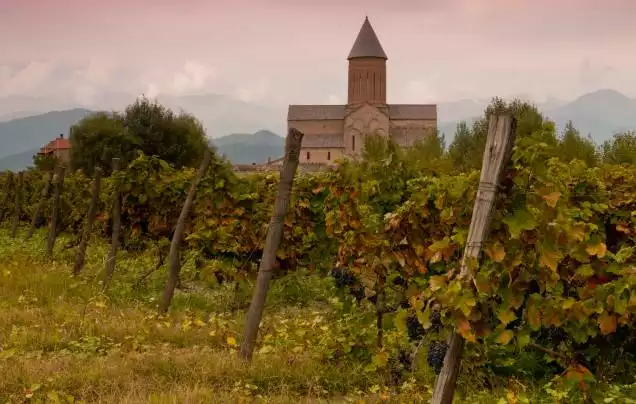 DAY 7: Georgia Wine Area