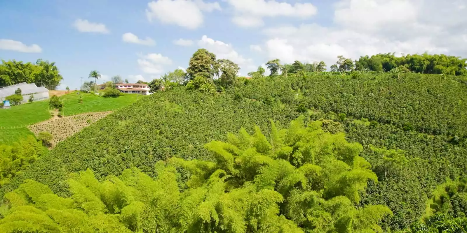 Gorgeous Armenia Quindio, Colombia!