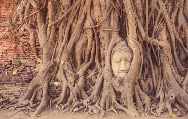 Day 5: Ayutthaya